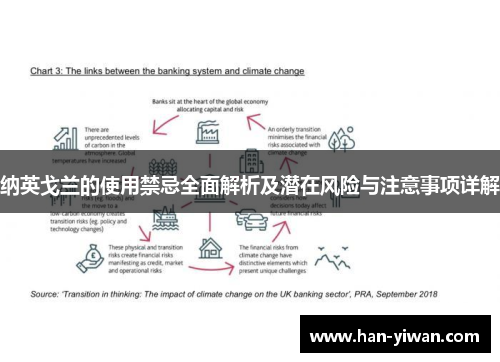 纳英戈兰的使用禁忌全面解析及潜在风险与注意事项详解 纳英戈兰的使用禁忌全面解析及潜在风险与注意事项详解