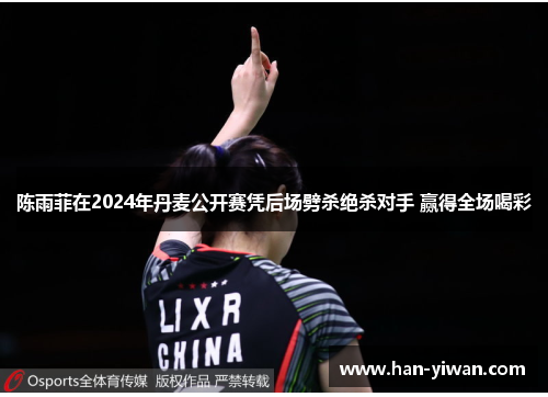 陈雨菲在2024年丹麦公开赛凭后场劈杀绝杀对手 赢得全场喝彩