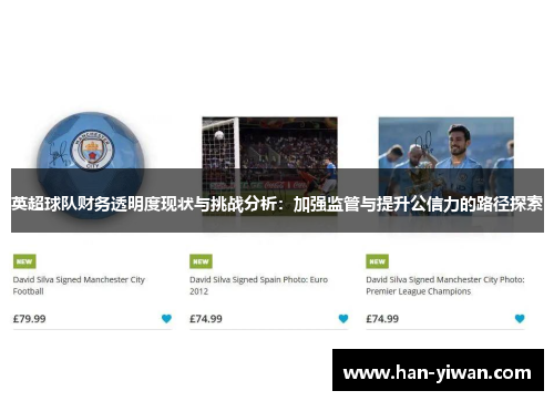 英超球队财务透明度现状与挑战分析:加强监管与提升公信力的路径探索 英超球队财务透明度现状与挑战分析:加强监管与提升公信力的路径探索