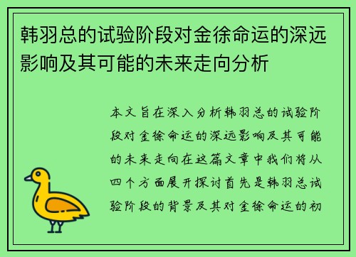 韩羽总的试验阶段对金徐命运的深远影响及其可能的未来走向分析