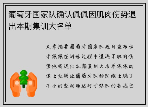 葡萄牙国家队确认佩佩因肌肉伤势退出本期集训大名单 葡萄牙国家队确认佩佩因肌肉伤势退出本期集训大名单